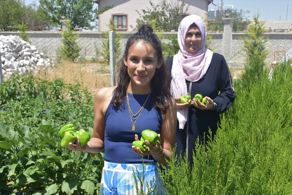 Konya'daki bu otel sosyal medyanın gündeminde! Her şey ücretsiz, tek şart var 9